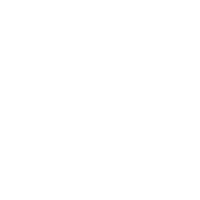 brand logo of villager-marketing