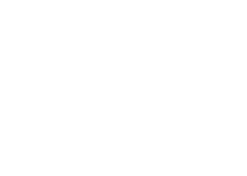 Amerisleep logo