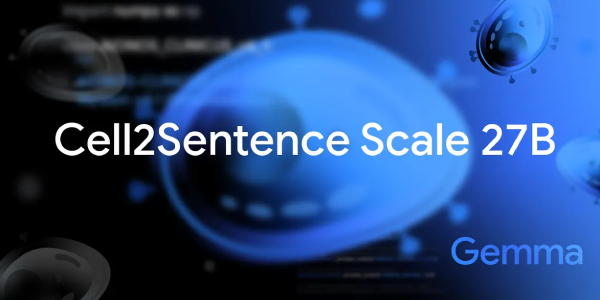 Gemma model helped discover a new potential cancer therapy pathway